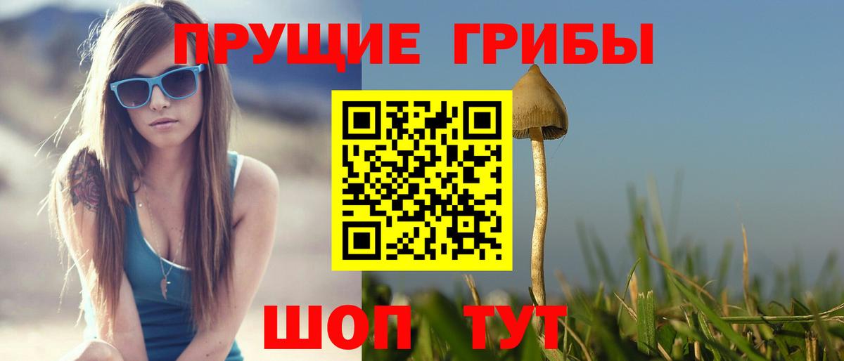 Галлюциногенные грибы Magic Shrooms Таганрог